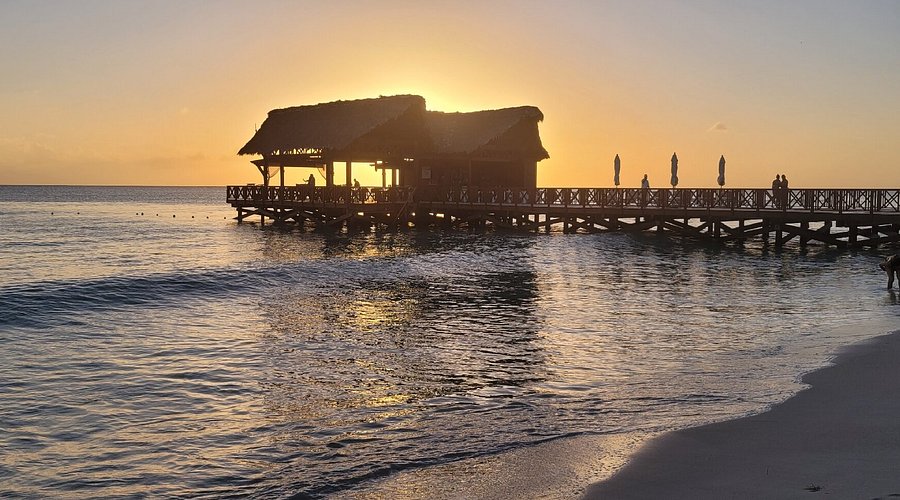 Playa Bayahibe excursiones y traslados