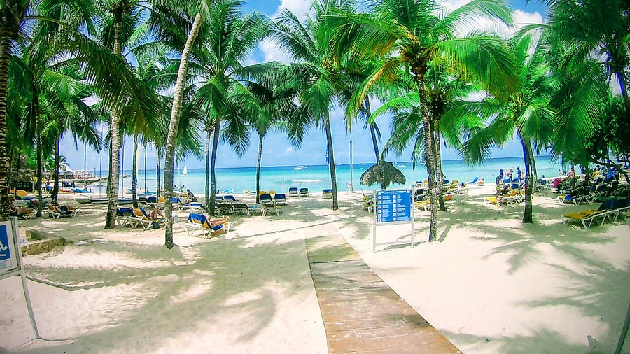 Isla Saona excursión desde Bayahibe
